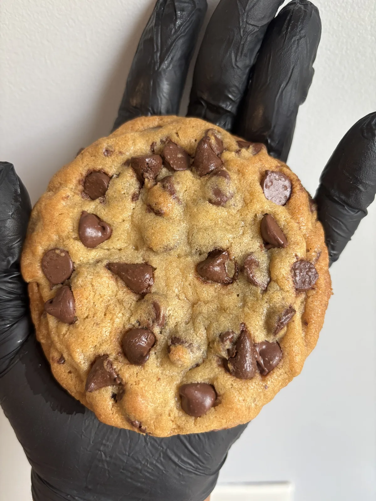 I Am Cookie & Sugar Co. cookie gallery photo