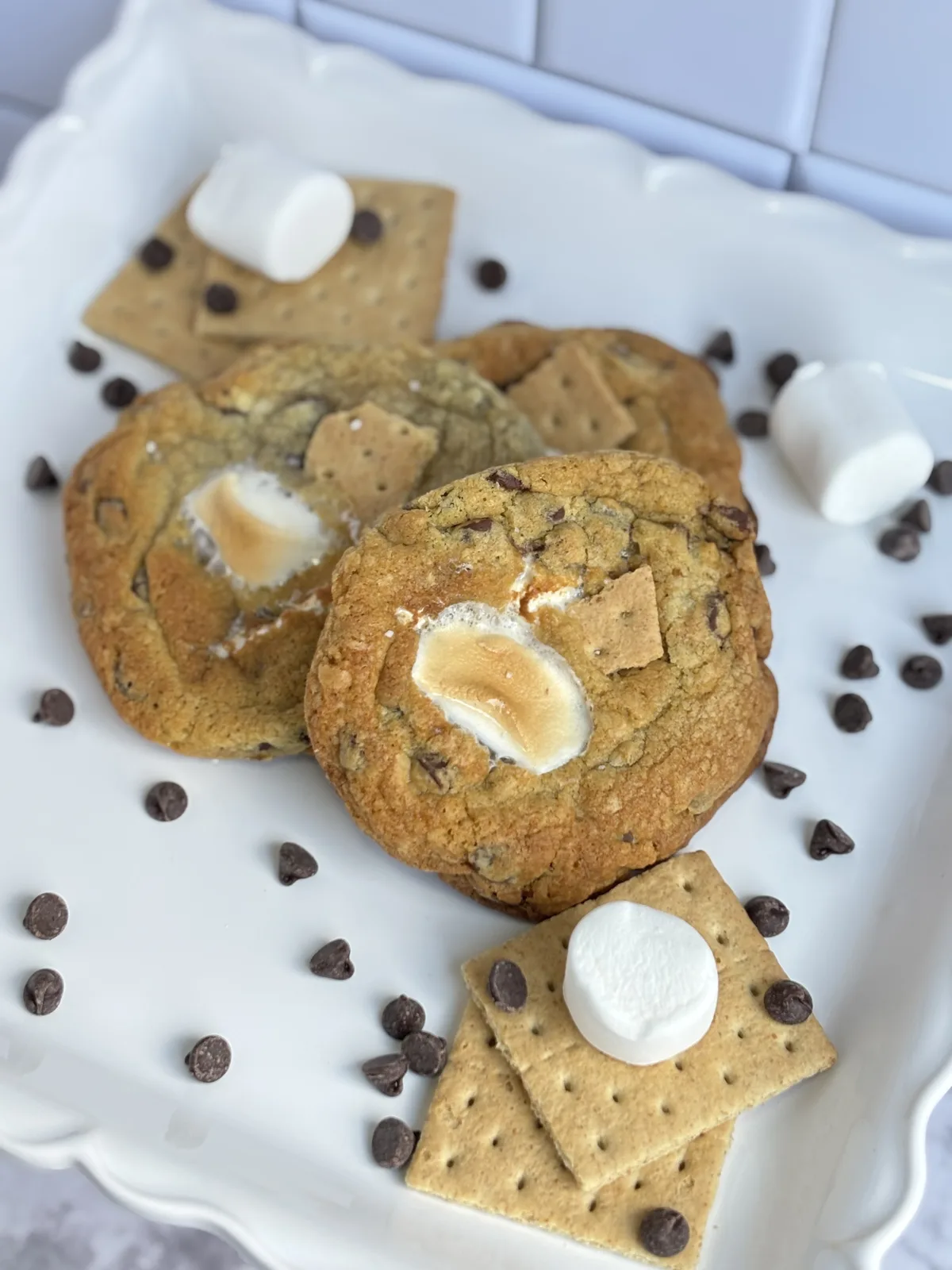 I Am Cookie & Sugar Co. cookie gallery photo